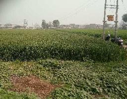  Agricultural Land for Sale in Ganjbar, Panipat