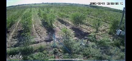  Agricultural Land for Rent in Somandepalli, Anantapur