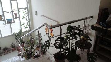 4 BHK Flat for Sale in Rajgarh Road, Solan