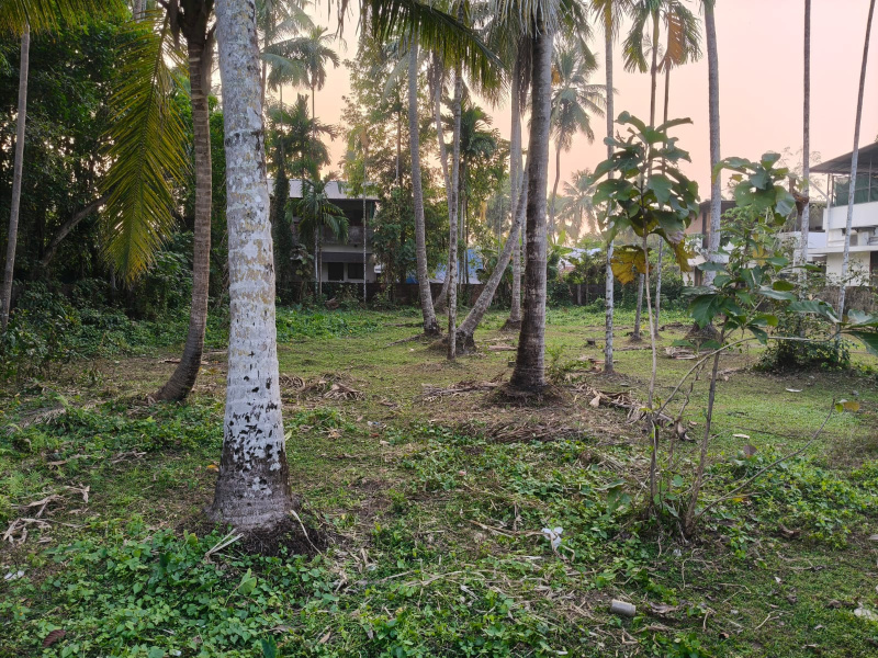  25 Cent Residential Plot for Sale in Thrippunithura, Ernakulam