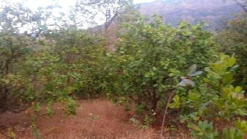  Agricultural Land for Sale in KC Jain Nagar, Ratnagiri