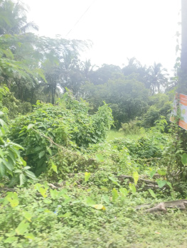  Residential Plot for Sale in Sircaim, Bardez, Goa