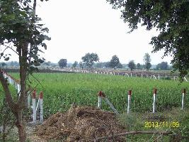  Agricultural Land for Sale in Khandwa Road, Indore