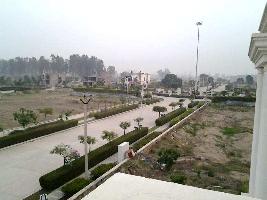  Residential Plot for Sale in Mullanpur, Chandigarh