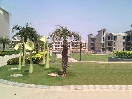  Residential Plot for Sale in Mullanpur, Chandigarh