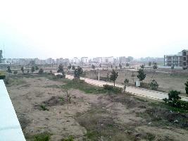  Residential Plot for Sale in Mullanpur, Chandigarh