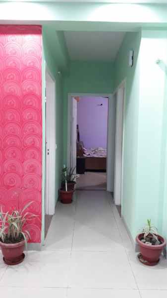 1 BHK Apartment 625 Sq.ft. for Sale in Sector 1 Greater Noida West