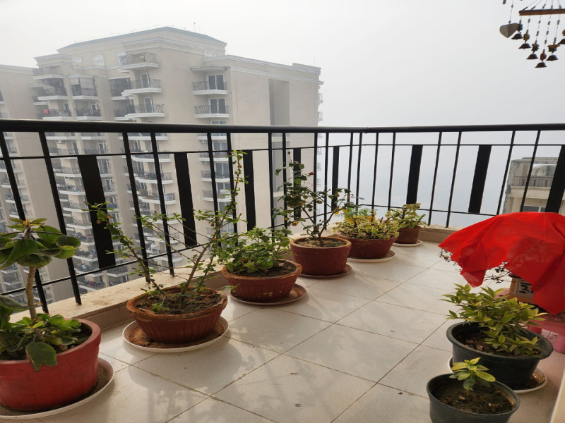 2 BHK Apartment 965 Sq.ft. for Sale in Sector 10 Greater Noida West