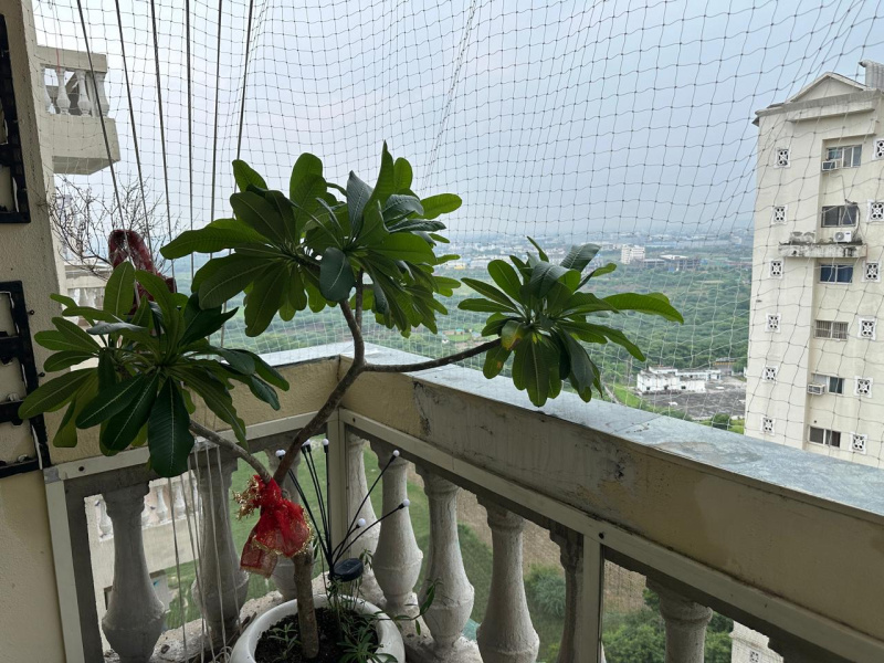 3.5 BHK Apartment 1835 Sq.ft. for Sale in Sector 78 Noida