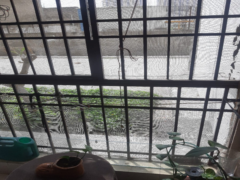 3 BHK Apartment 1340 Sq.ft. for Sale in Sector 4 Greater Noida West