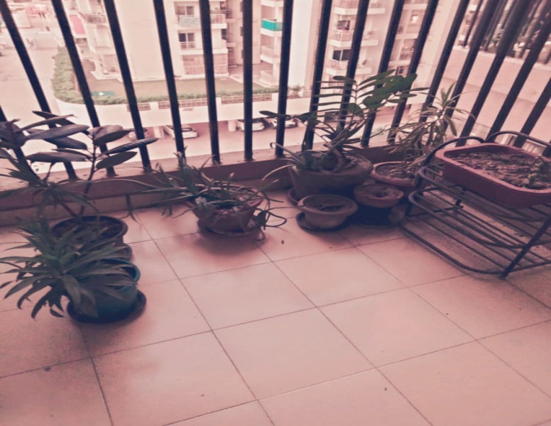 2 BHK Apartment 855 Sq.ft. for Sale in Sector 16C Greater Noida West