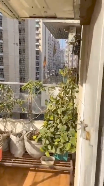 2 BHK 1145 Sq.ft. Apartment for Sale in Sector 16B Greater Noida West