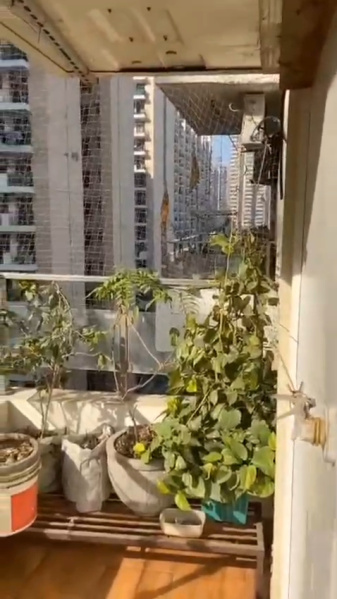 2 BHK 1145 Sq.ft. Apartment for Sale in Sector 16B Greater Noida West