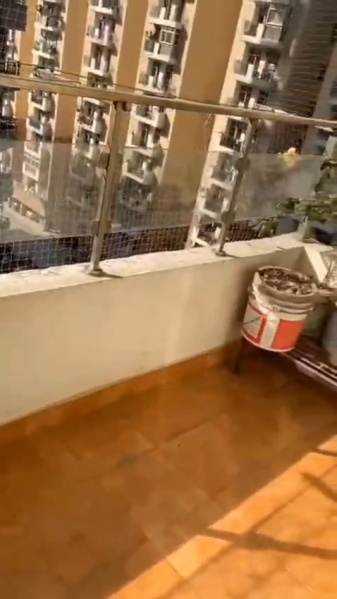 2 BHK 1145 Sq.ft. Apartment for Sale in Sector 16B Greater Noida West