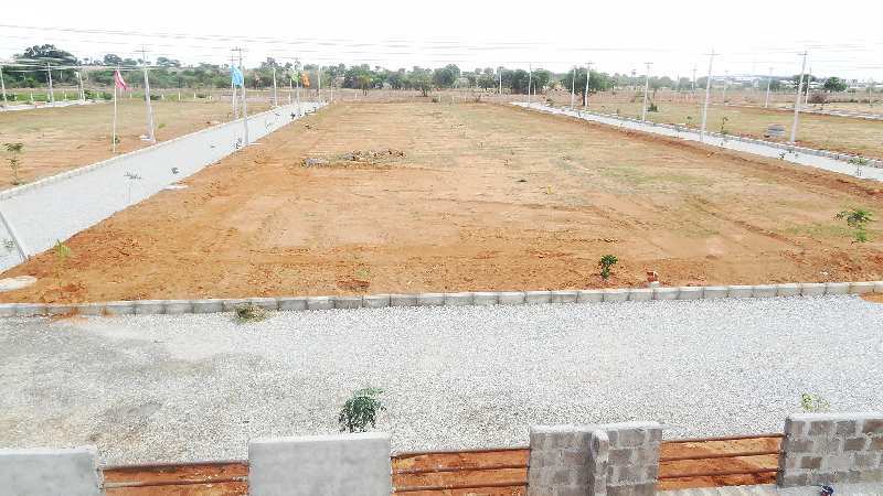  281 Sq. Yards Residential Plot for Sale in JP Darga, Kothur, Hyderabad