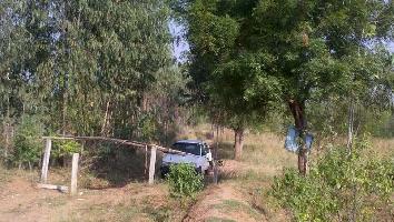  Agricultural Land for Sale in Vadamadurai, Dindigul