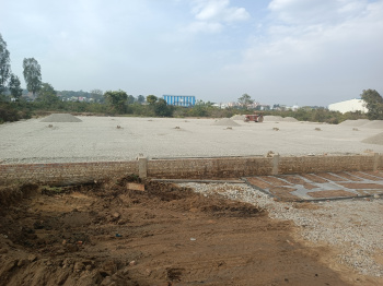  Residential Plot for Sale in Ajronda, Faridabad