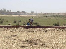  Residential Plot for Sale in Mhowgaon, Indore
