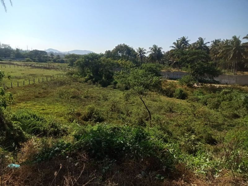  Commercial Land 1 Acre for Sale in Kanakapura Road, Bangalore