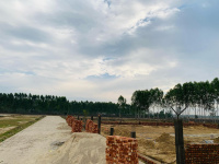  Residential Plot for Sale in Biharigarh, Dehradun