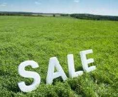  Residential Plot for Sale in Khedi Road, Faridabad