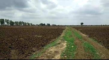  Agricultural Land for Sale in sheopur city, Sheopur, Sheopur
