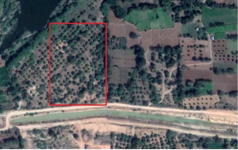  Agricultural Land 1 Acre for Sale in Madanapalle, Chittoor