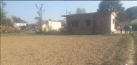  Residential Plot for Sale in Dharmawala, Vikas Nagar, Dehradun
