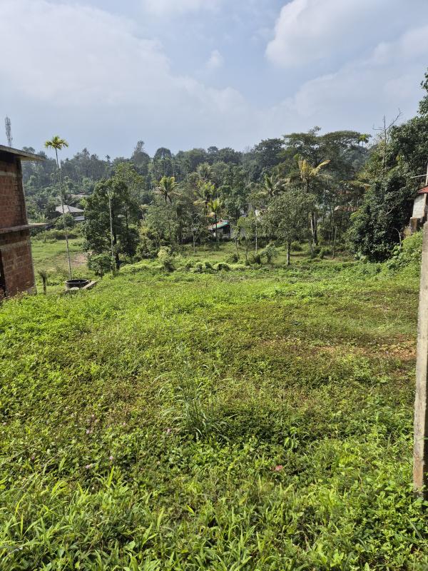  15 Cent Residential Plot for Sale in Kalpetta, Wayanad