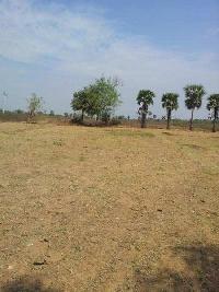  Agricultural Land for Sale in Salur, Vizianagaram