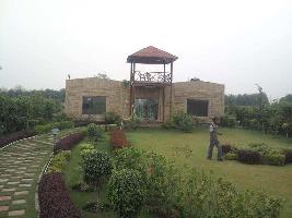  Agricultural Land for Sale in Dadri, Gautam Buddha Nagar