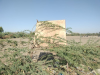  Industrial Land for Sale in Naviyani, Surendranagar