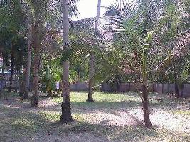  Residential Plot for Sale in Kayamkulam, Alappuzha