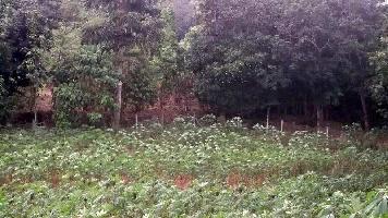  Commercial Land for Sale in Chittilappilly, Thrissur