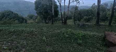  Agricultural Land for Sale in Panchgani Mahabaleswar Road, Mahabaleshwar