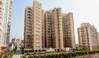 3 BHK Flat for Sale in Sector 43 Faridabad
