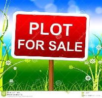  Agricultural Land for Rent in Naragapalli, Chittoor, Chittoor