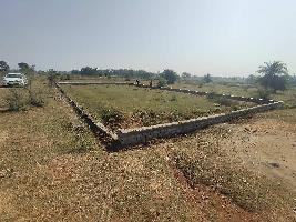  Agricultural Land for Sale in Abhanpur, Raipur
