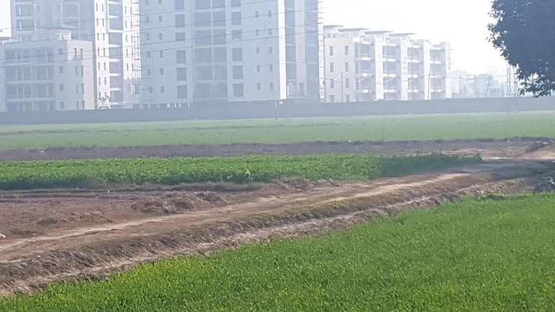 Residential Plot 150 Sq. Yards for Sale in Kharar, Mohali