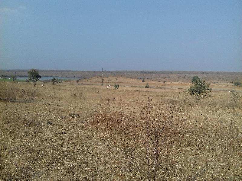 Agricultural Land 3 Acre for Sale in Katol, Nagpur