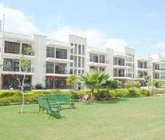 2 BHK Flat for Rent in Omaxe Sector 4A, Bahadurgarh