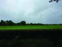 Agricultural Land for Sale in Veraval, Gir Somnath