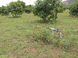  Agricultural Land for Sale in Puttur, Chittoor