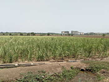  Agricultural Land for Sale in Palsana, Surat