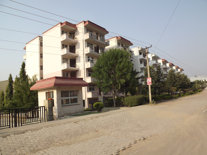 3 BHK Apartment 1575 Sq.ft. for Sale in Baddi, Solan