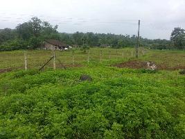  Agricultural Land for Sale in Khanvel, Silvassa