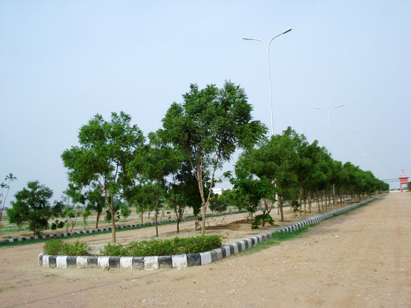  Residential Plot 87 Sq. Yards for Sale in Tonk Road, Tonk Road, Jaipur