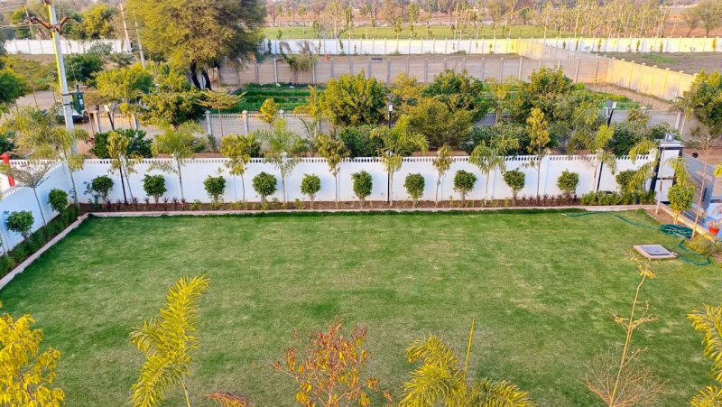 1.5 BHK 1000 Sq. Yards Farm House for Sale in Chaksu, Jaipur