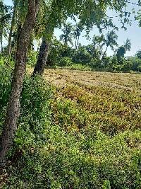  Agricultural Land for Sale in Thavalakuppam, Pondicherry