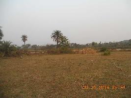  Agricultural Land for Sale in Bhapur, Dhenkanal